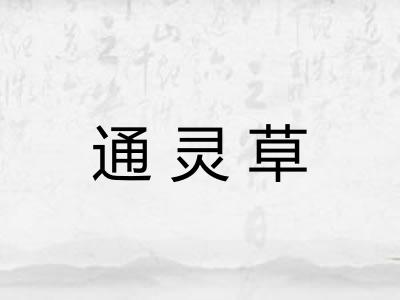 通灵草
