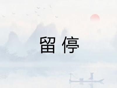 留停