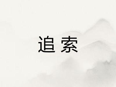 追索