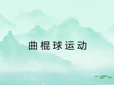 曲棍球运动