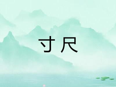 寸尺