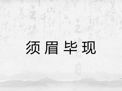 须眉毕现