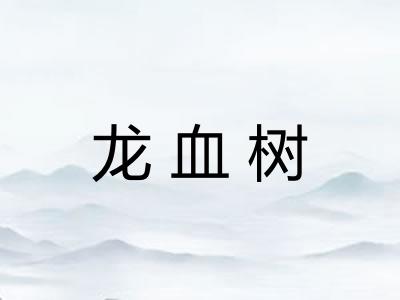 龙血树