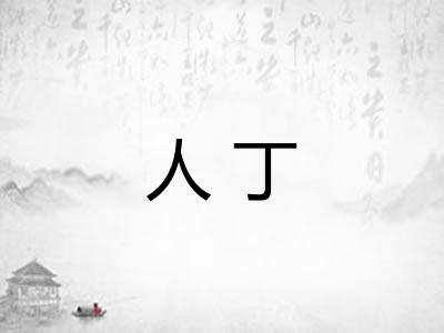 人丁