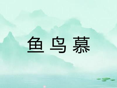 鱼鸟慕