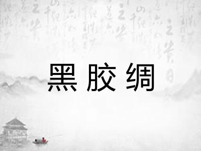 黑胶绸
