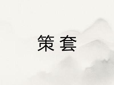 策套