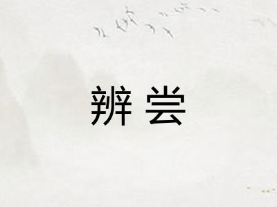 辨尝