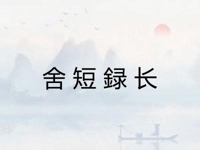 舍短録长