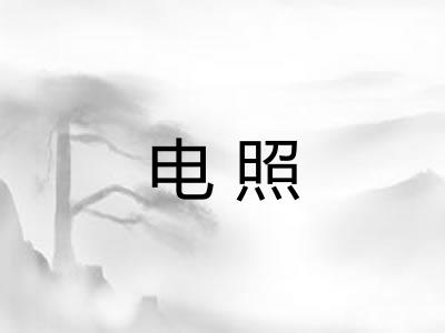 电照