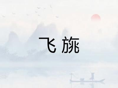 飞旐
