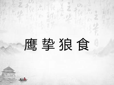 鹰挚狼食