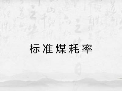 标准煤耗率