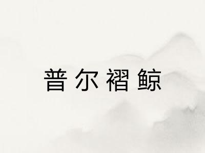 普尔褶鲸
