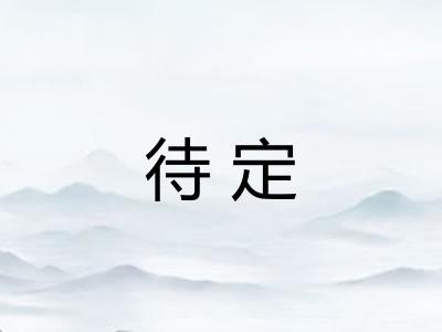 待定