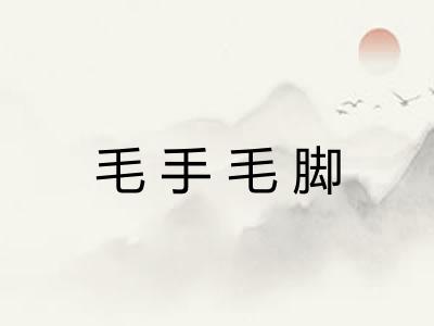 毛手毛脚