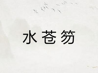 水苍笏