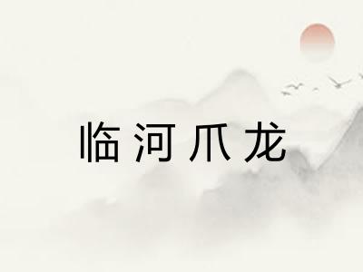 临河爪龙