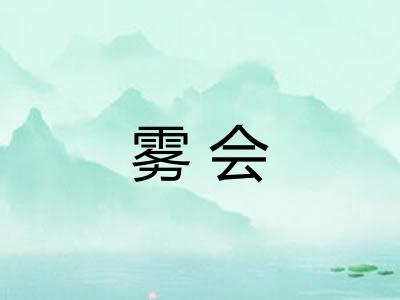 雾会