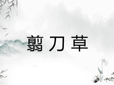 翦刀草