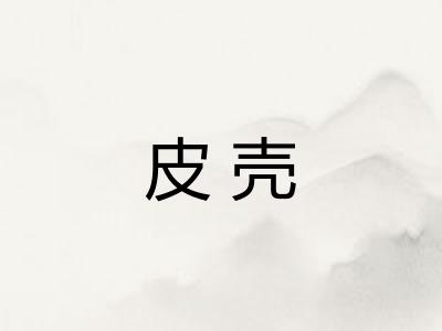 皮壳