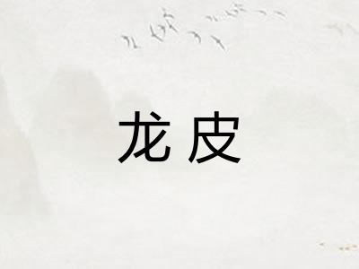 龙皮