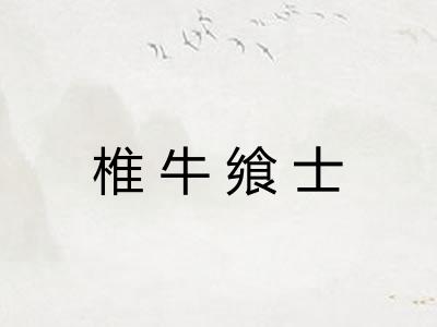 椎牛飨士