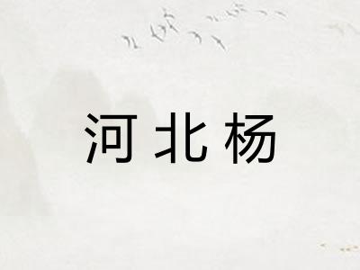 河北杨