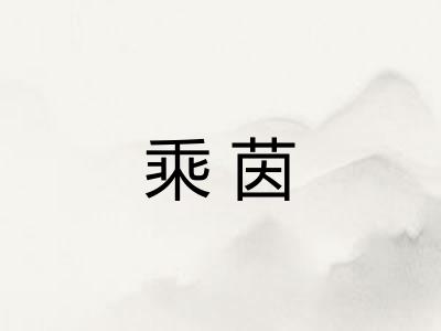 乘茵