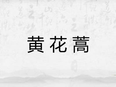 黄花蒿