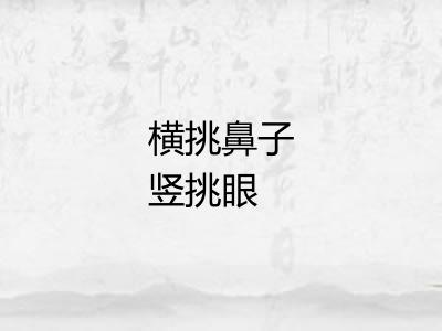 横挑鼻子竖挑眼