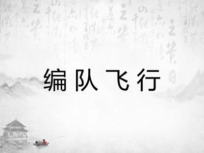 编队飞行
