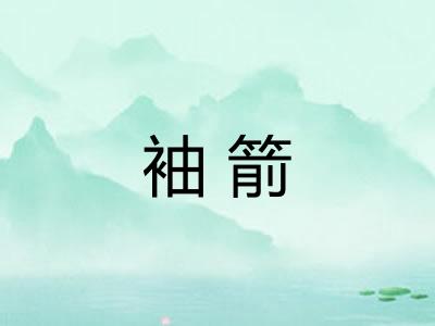 袖箭