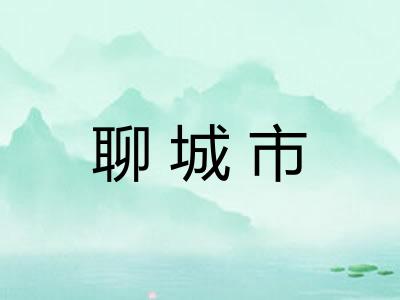 聊城市