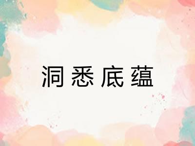 洞悉底蕴