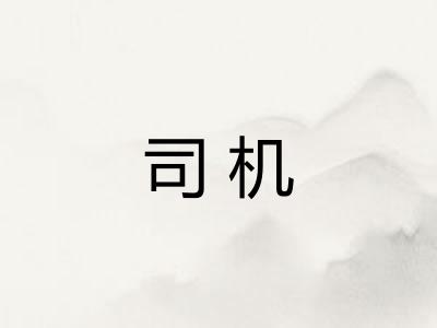 司机