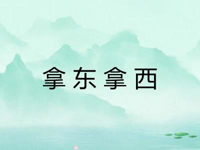 拿东拿西