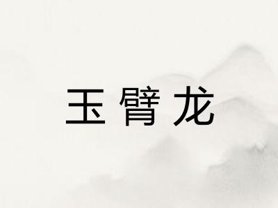 玉臂龙