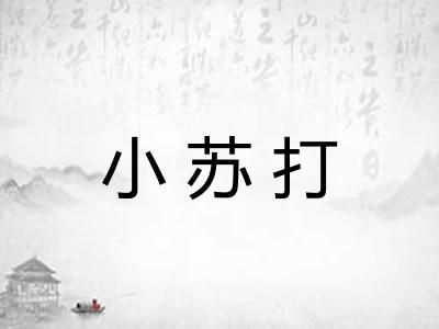 小苏打