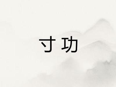 寸功