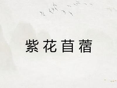 紫花苜蓿