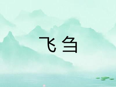 飞刍