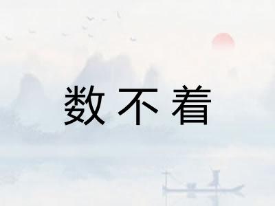 数不着