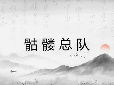 骷髅总队
