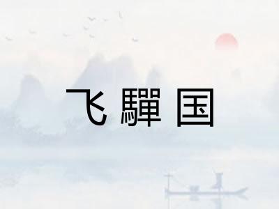 飞驒国