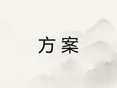 方案