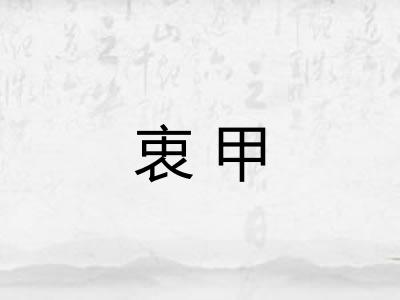 衷甲
