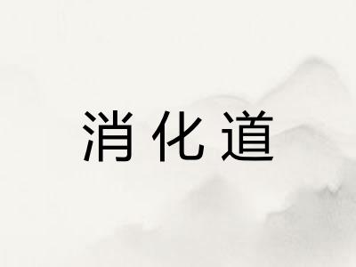 消化道
