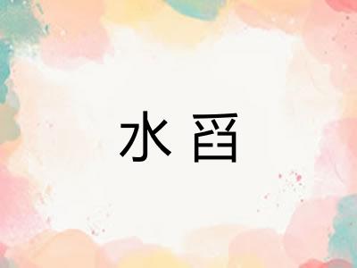 水舀