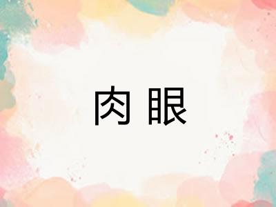 肉眼